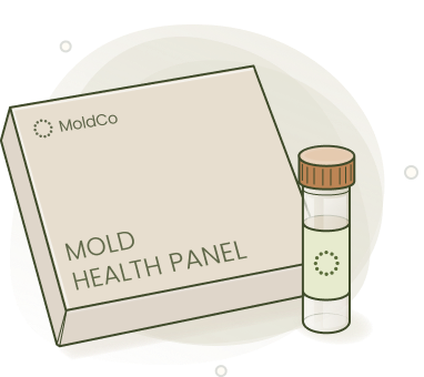 MoldCo health panel kit with box and test tube