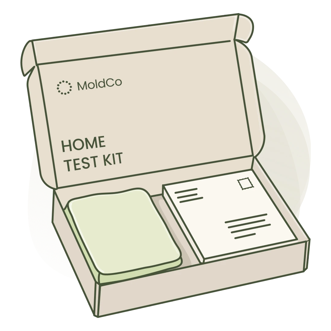 MoldCo home test kit box with collection swab and return envelope