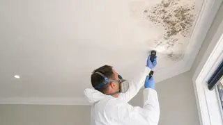 Mold on the ceiling: what to check before you touch it