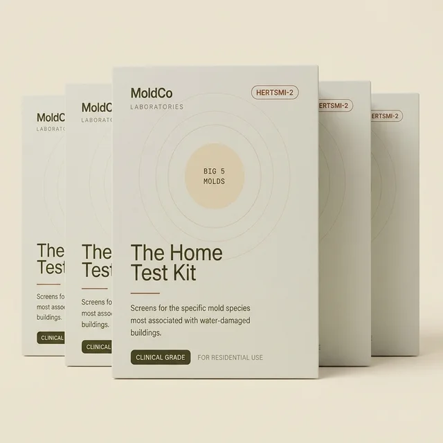 Five MoldCo Home Test Kit boxes