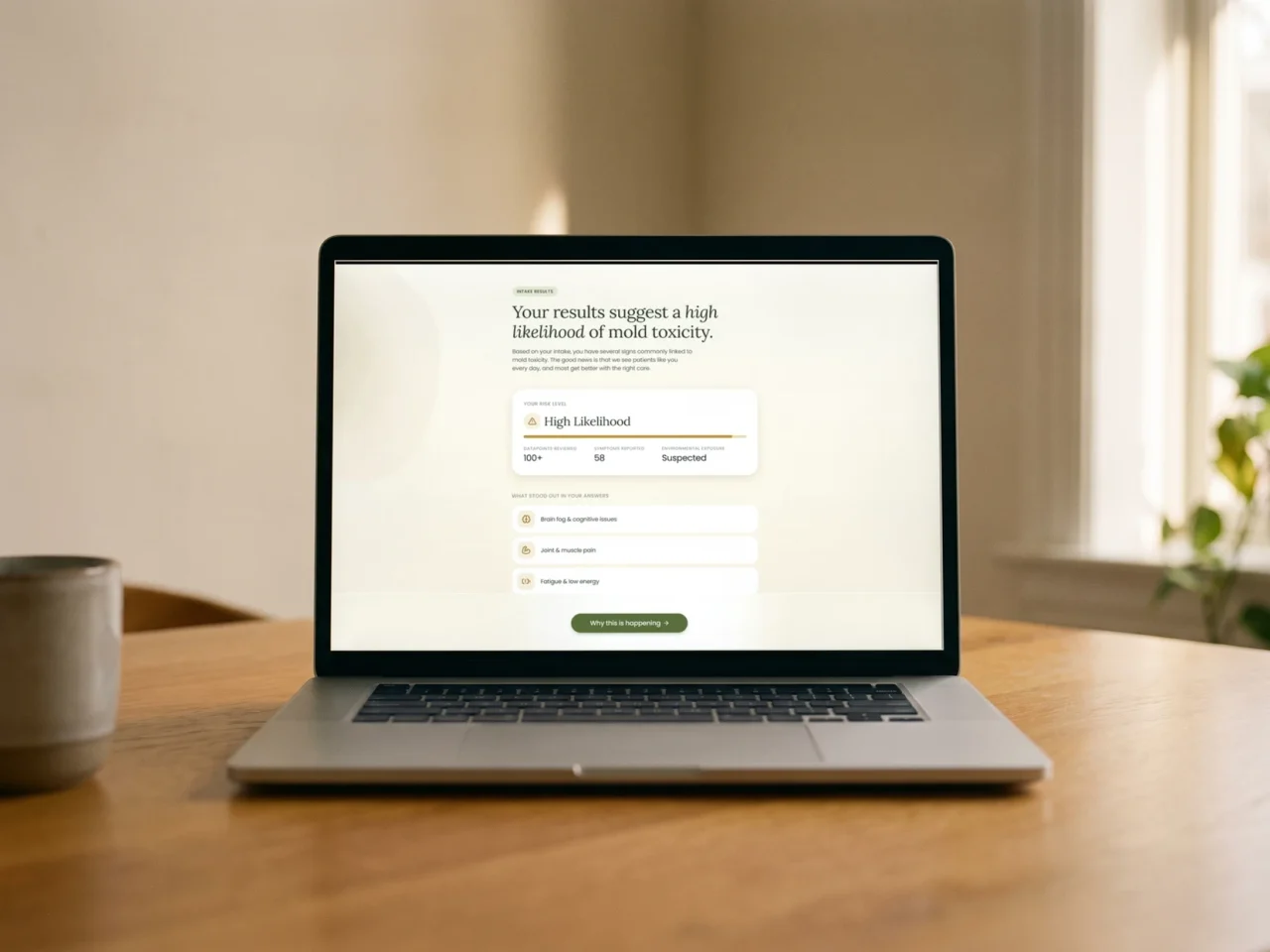 A laptop on a sunlit wooden table showing MoldCo intake results with a high likelihood of mold toxicity
